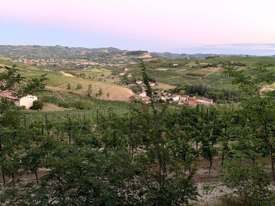 Apart-Agriturismo "La Colomba" นิซซา มอนแฟร์ราโต ภายนอก รูปภาพ